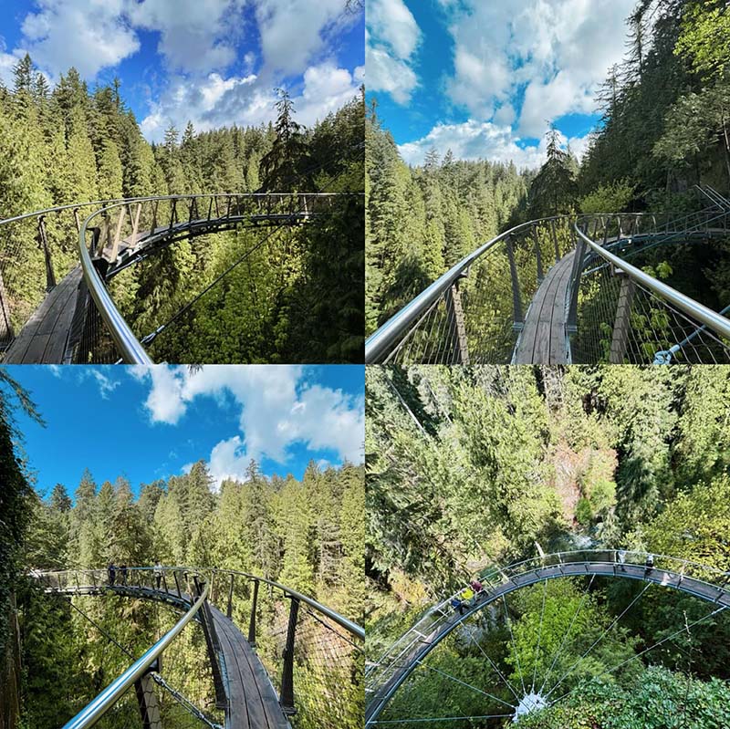 Capilano Suspension Bridge Park