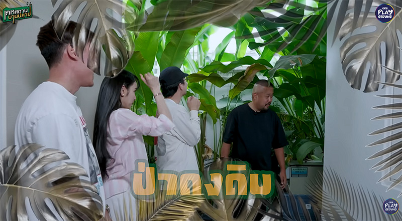 บ้านแพท ณปภา