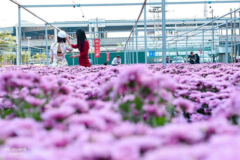 สวนดอกไม้ปทุมเจดีย์ ปทุมธานี