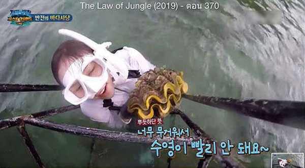 Law of the Jungle