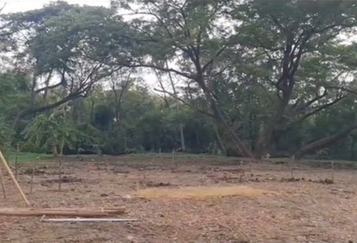 พรหมลิขิต