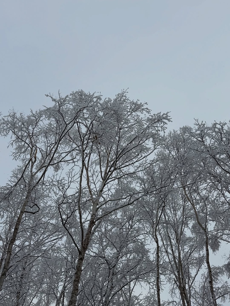 หน่อย บุษกร