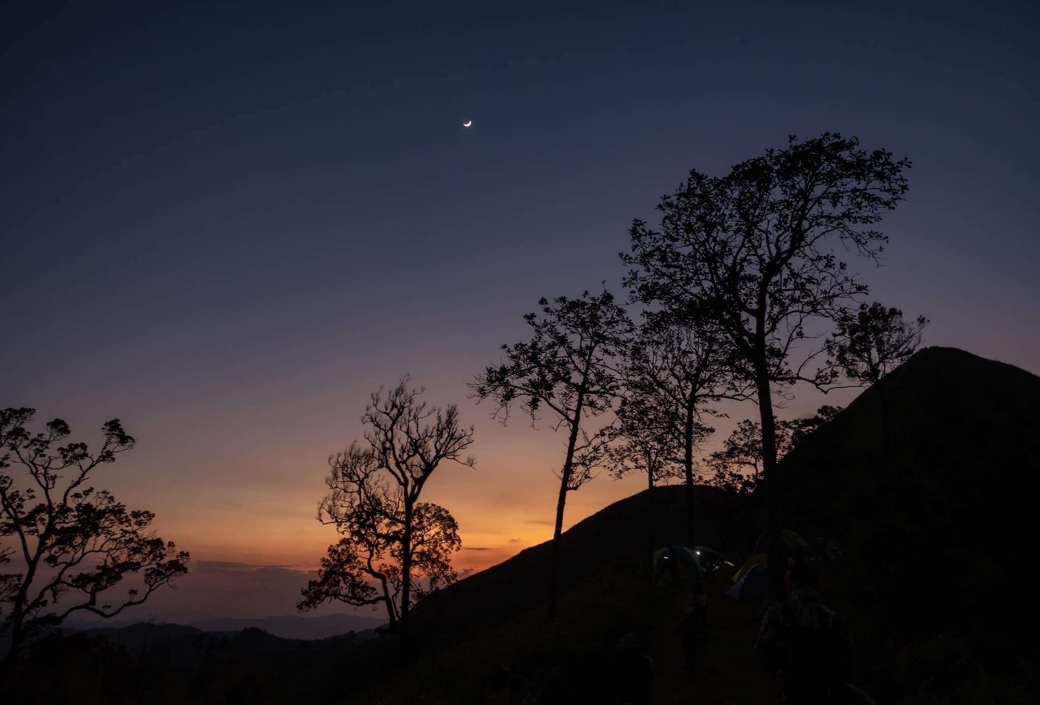 เขาช้างเผือก