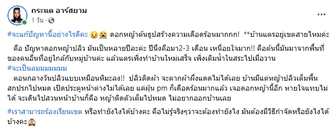 กระแต อาร์สยาม