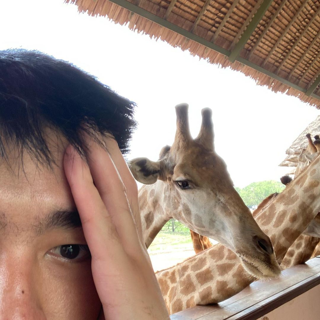 เซลฟี่กับยีราฟ