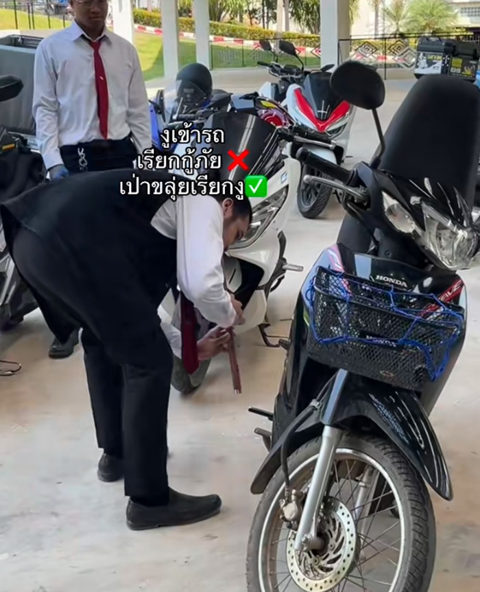 งูเข้ารถ