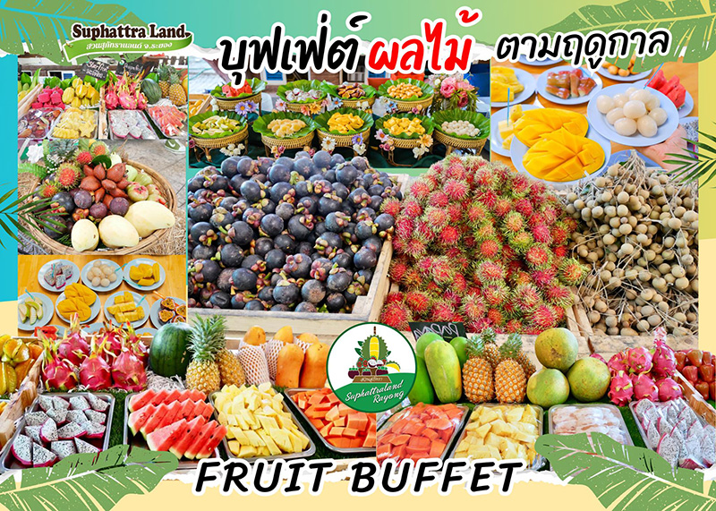 บุฟเฟต์ทุเรียน 2569