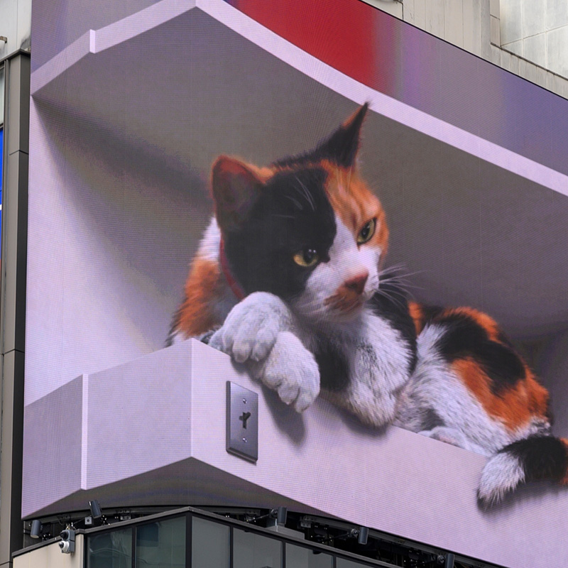 Giant 3D Cat ที่เที่ยวโตเกียว 2024