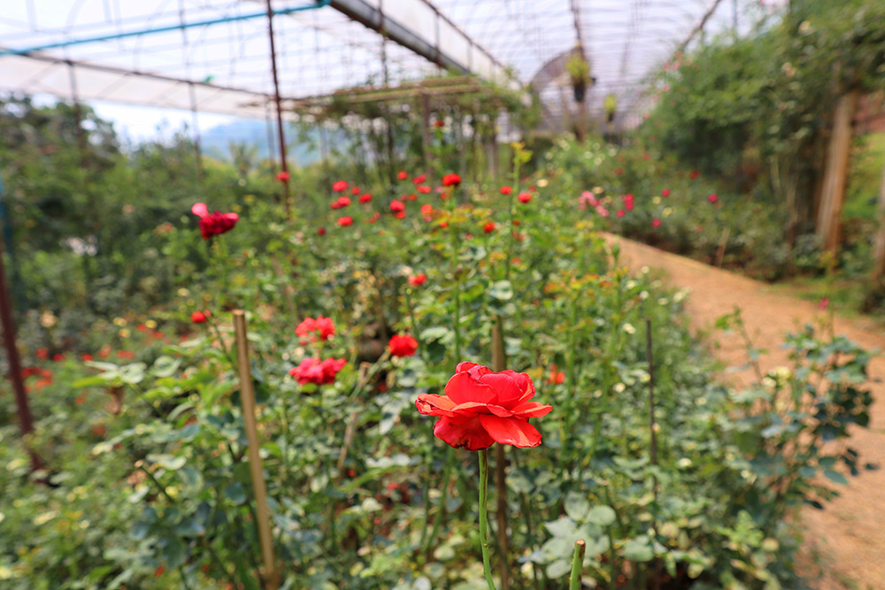 ที่เที่ยวเชียงใหม่