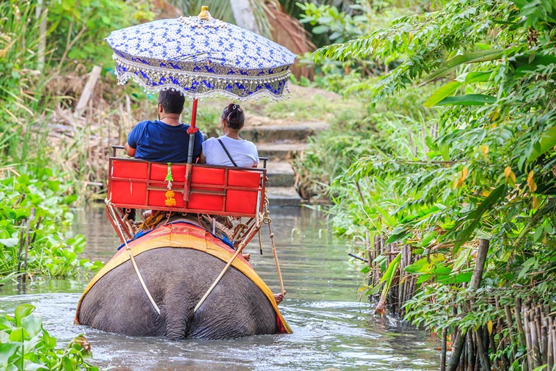 หมู่บ้านช้างและลิงดำเนินสะดวก