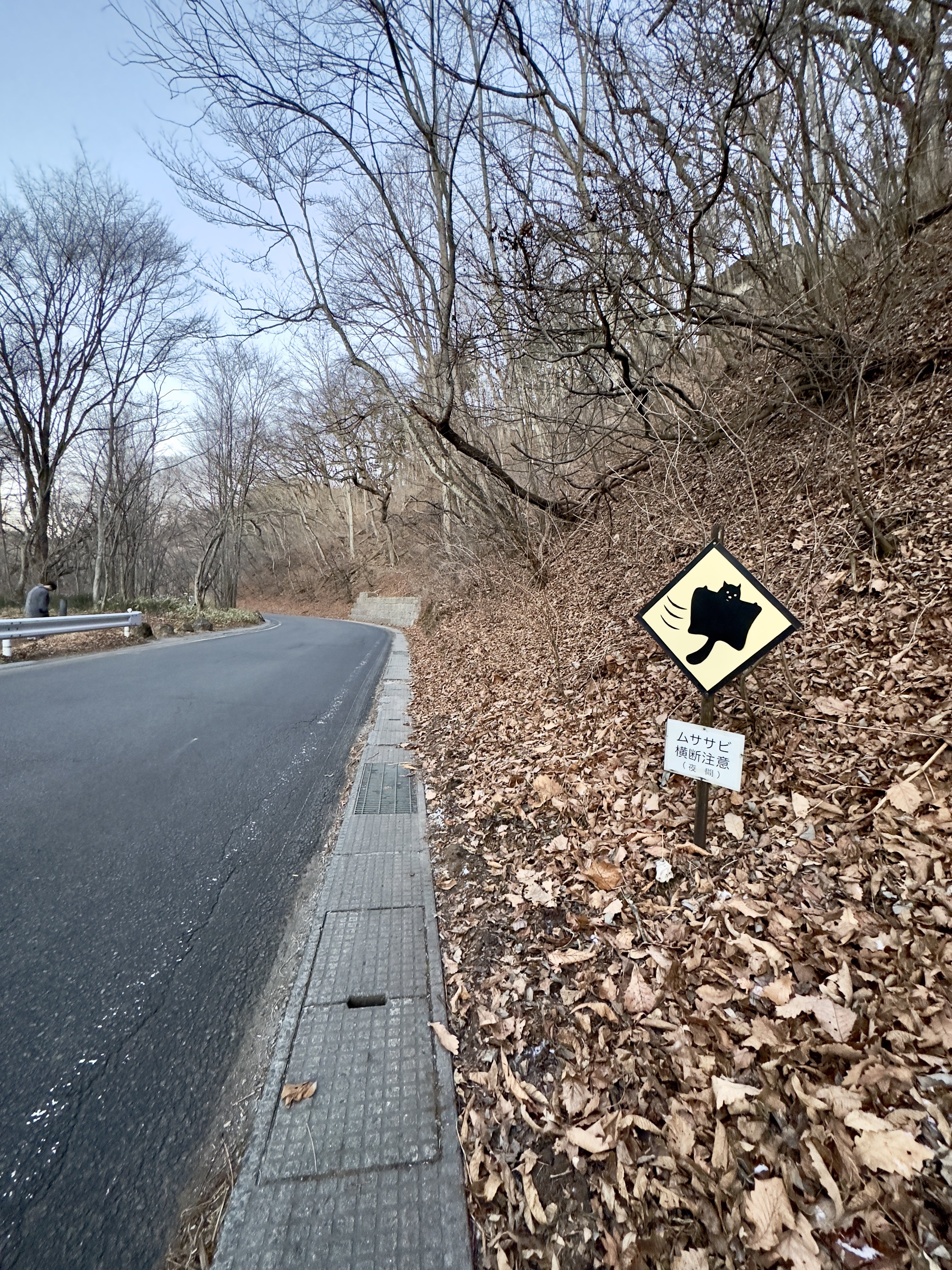 กระรอกบิน