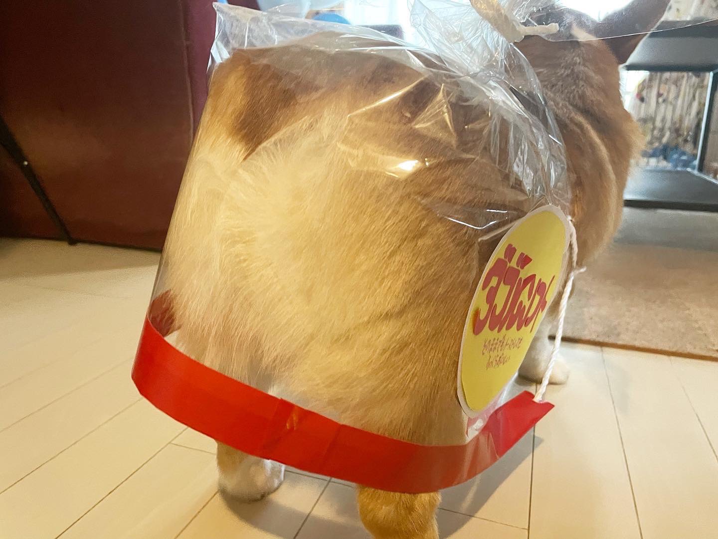 ขนมปัง