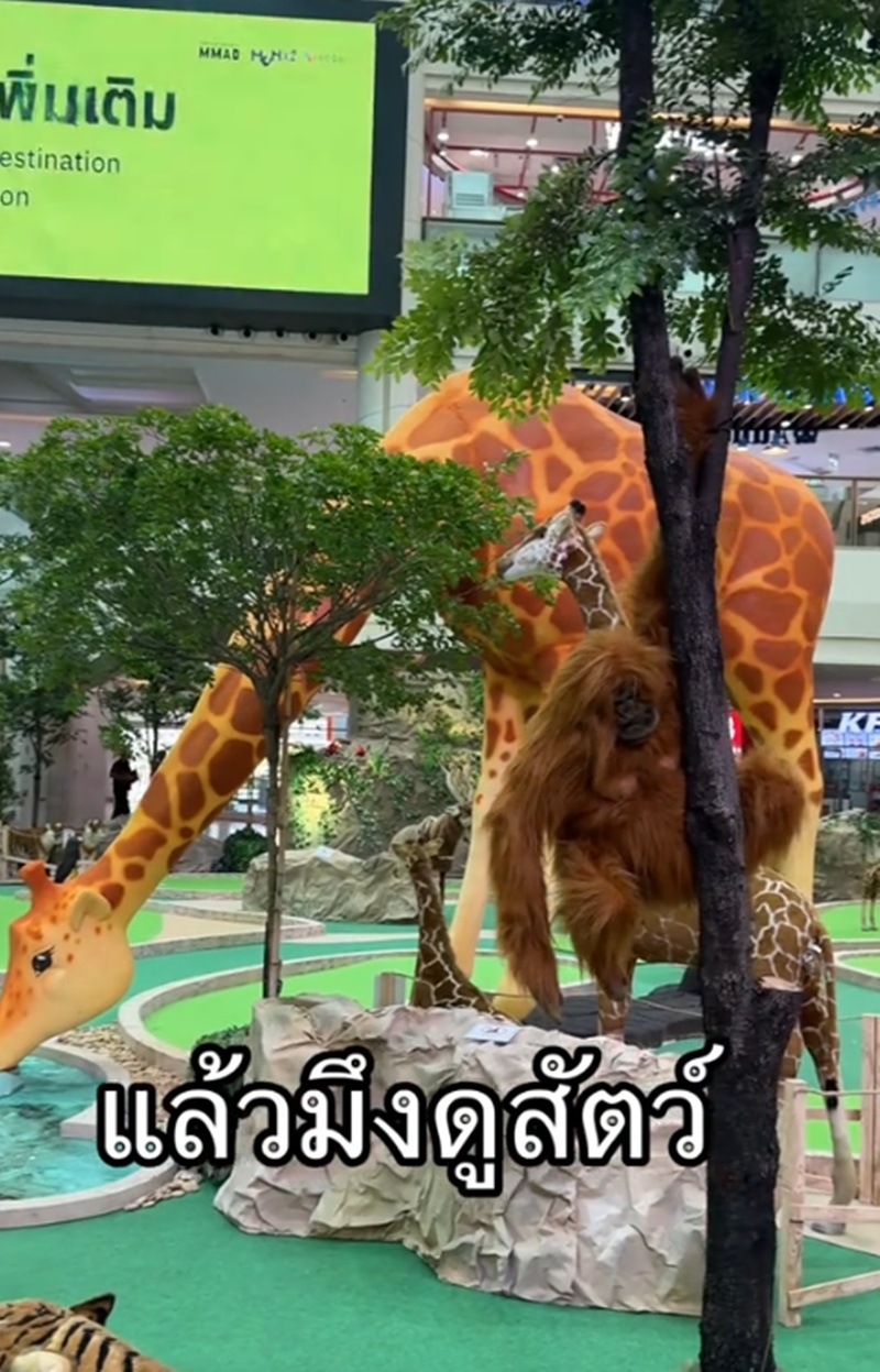 ให้อาหารสัตว์