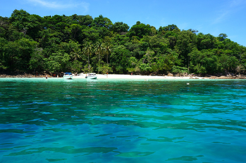 ที่เที่ยวเดือนพฤศจิกายน 2563