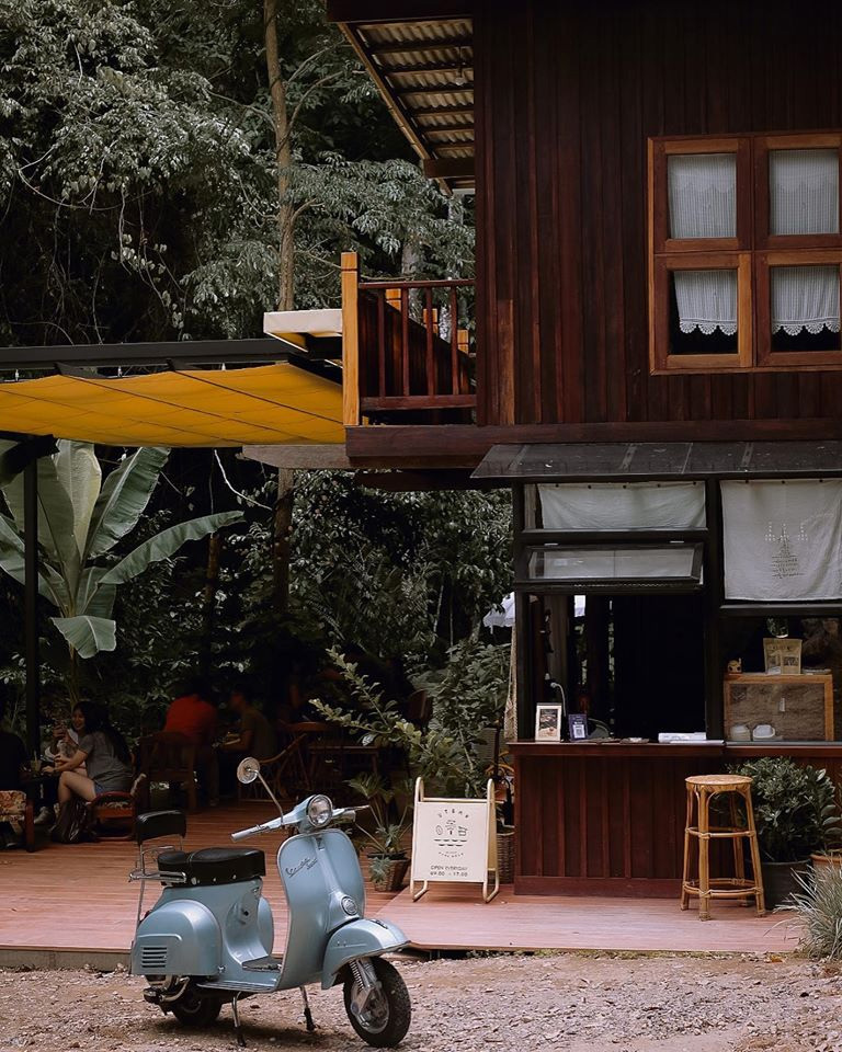 คาเฟ่ในป่า