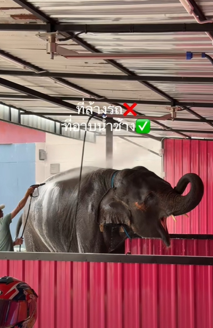 อาบน้ำช้าง