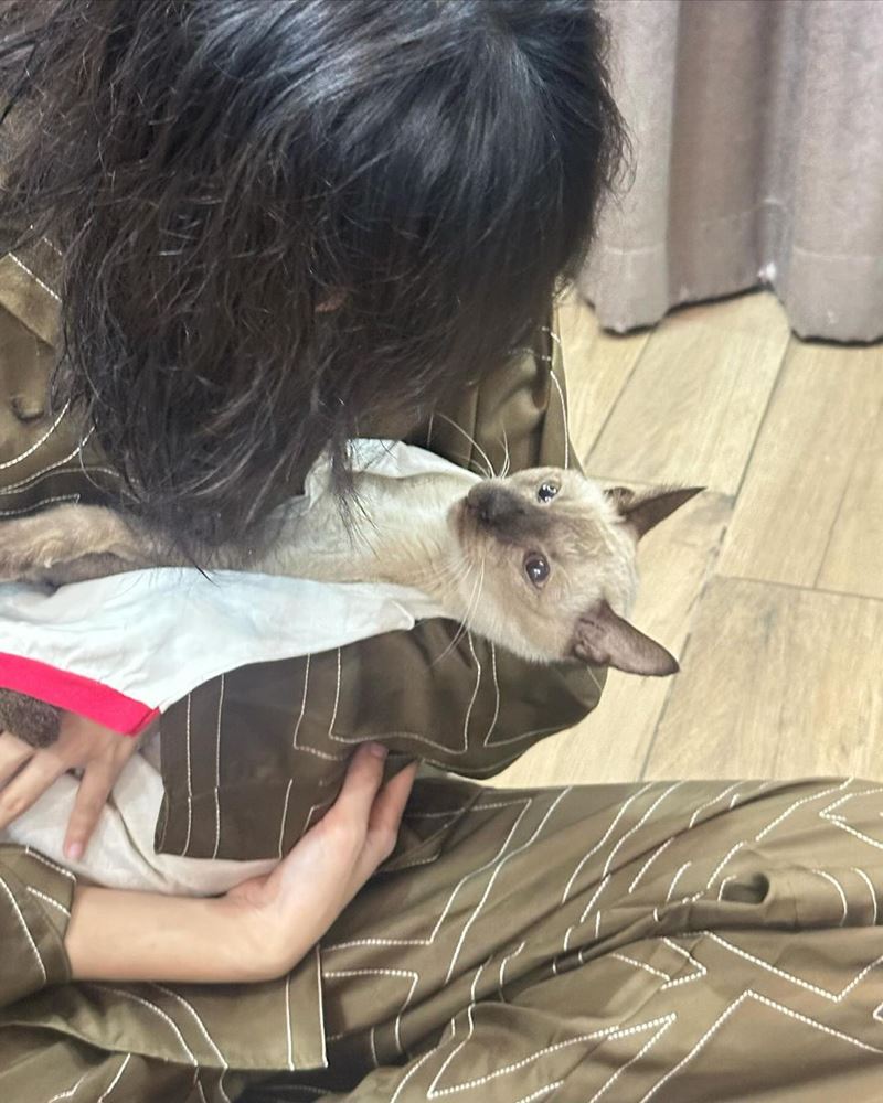 ลิซ่า BLACKPINK