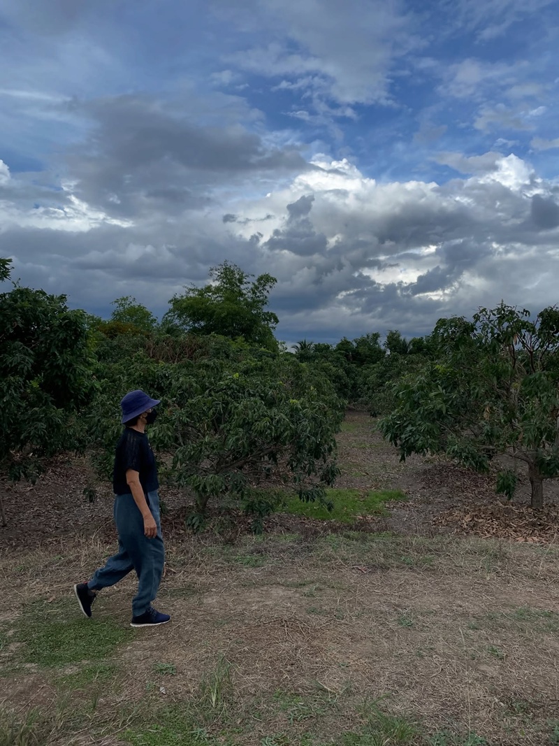 ซาร่า โฮเลอร์ ประกาศขายที่ดินเชียงใหม่