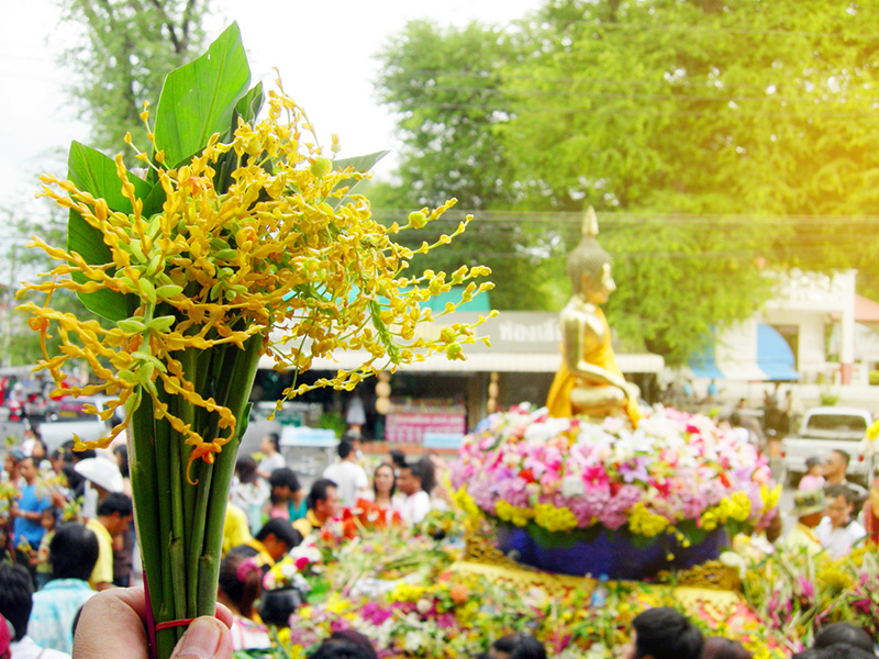 ดอกเข้าพรรษา
