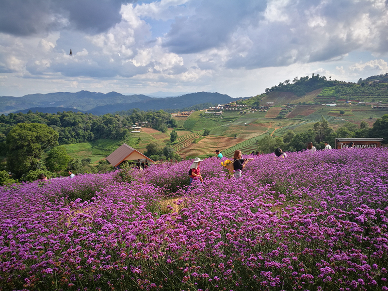 ที่เที่ยวม่อนแจ่ม