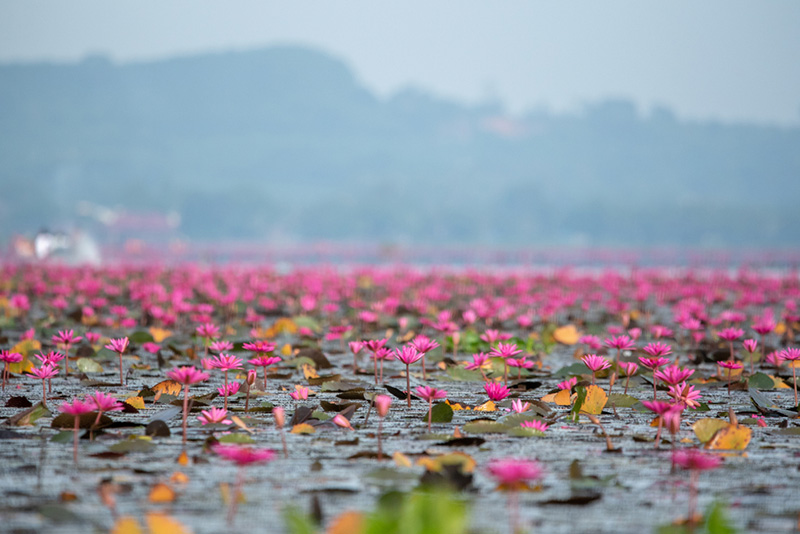 ที่เที่ยวเดือนเมษายน