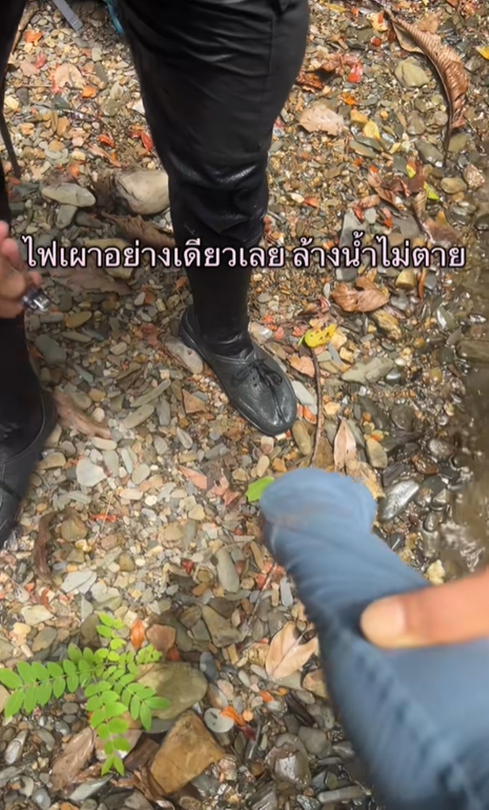 นักเดินป่า