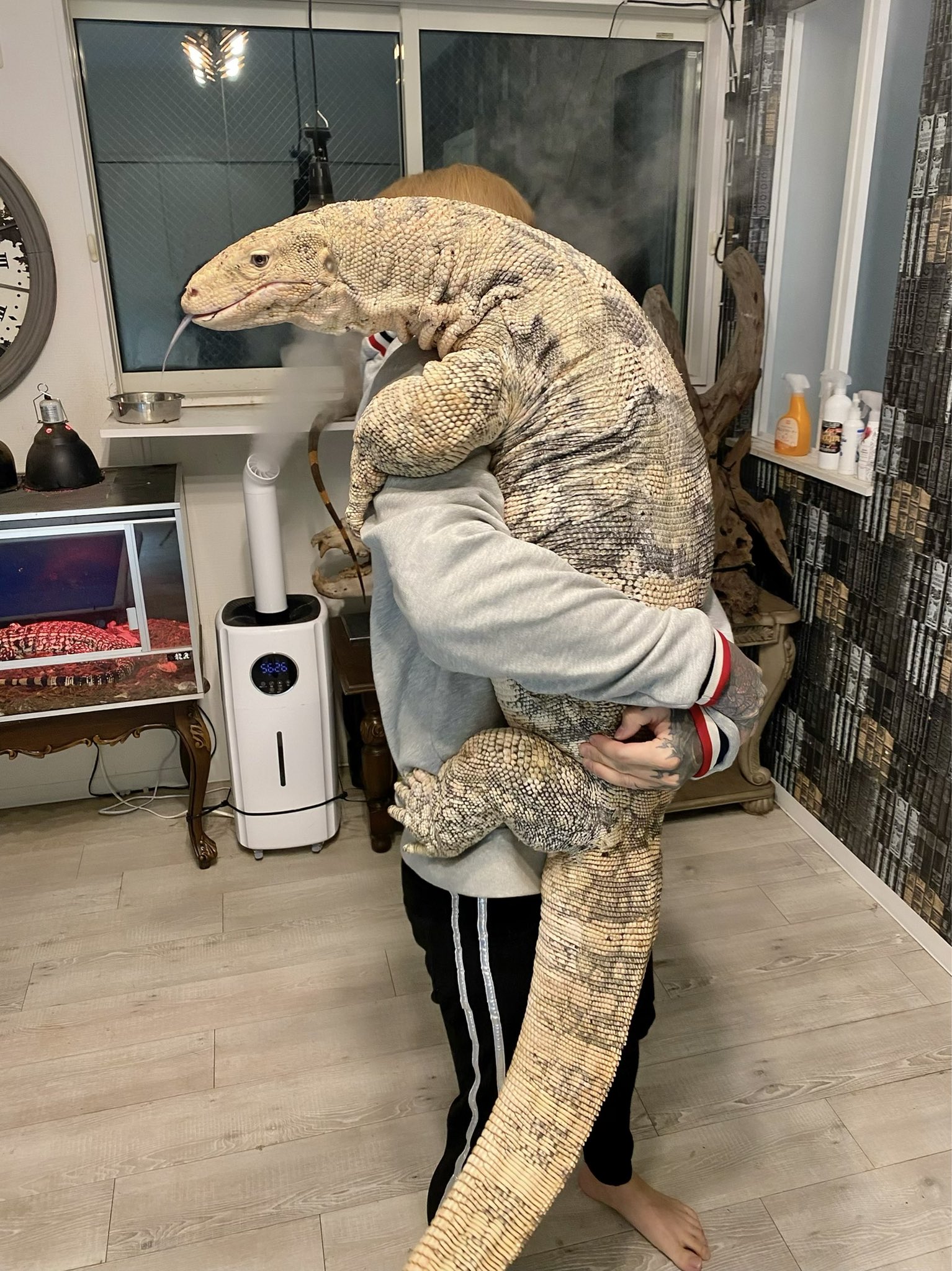 ตัวเงินตัวทอง