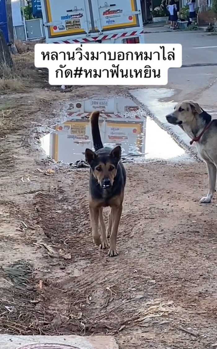 หมากัด