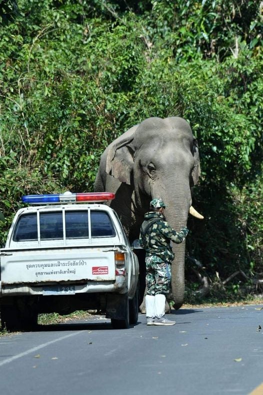 มิตรภาพต่างสายพันธุ์