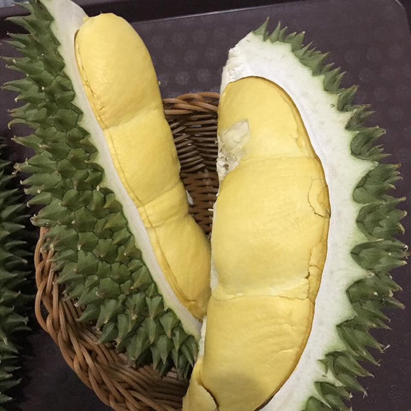 สวนผลไม้ระยอง จันทบุรี 2563