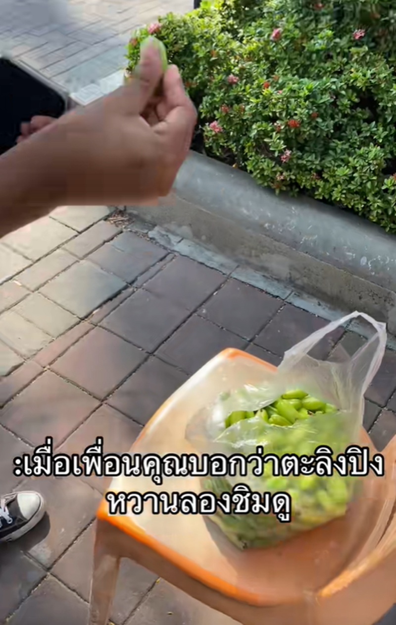 ตะลิงปิง