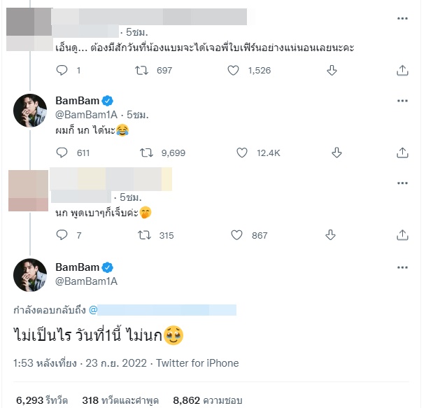 ใบเฟิร์น 