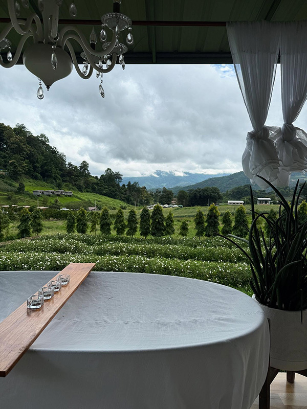 ที่พักหน้าหนาว 2568 หลงผา โฮมสเตย์