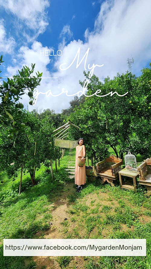 สวนของฉัน My garden 