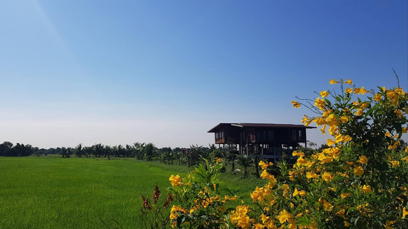 แบบบ้านสวน