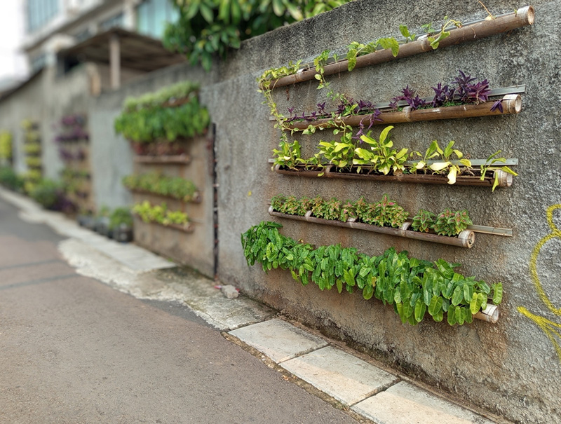 ไอเดียรั้วต้นไม้ Green Trees Hung on the Wall