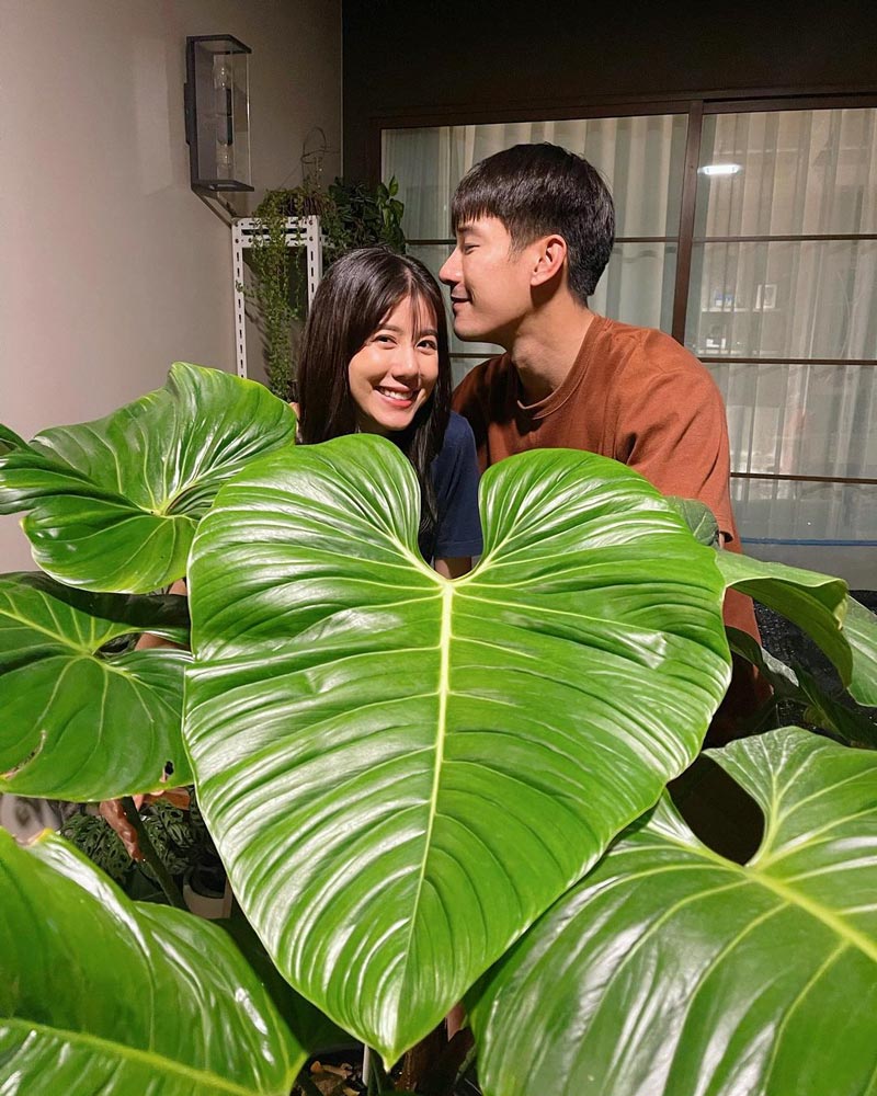 เคน เอสเธอร์