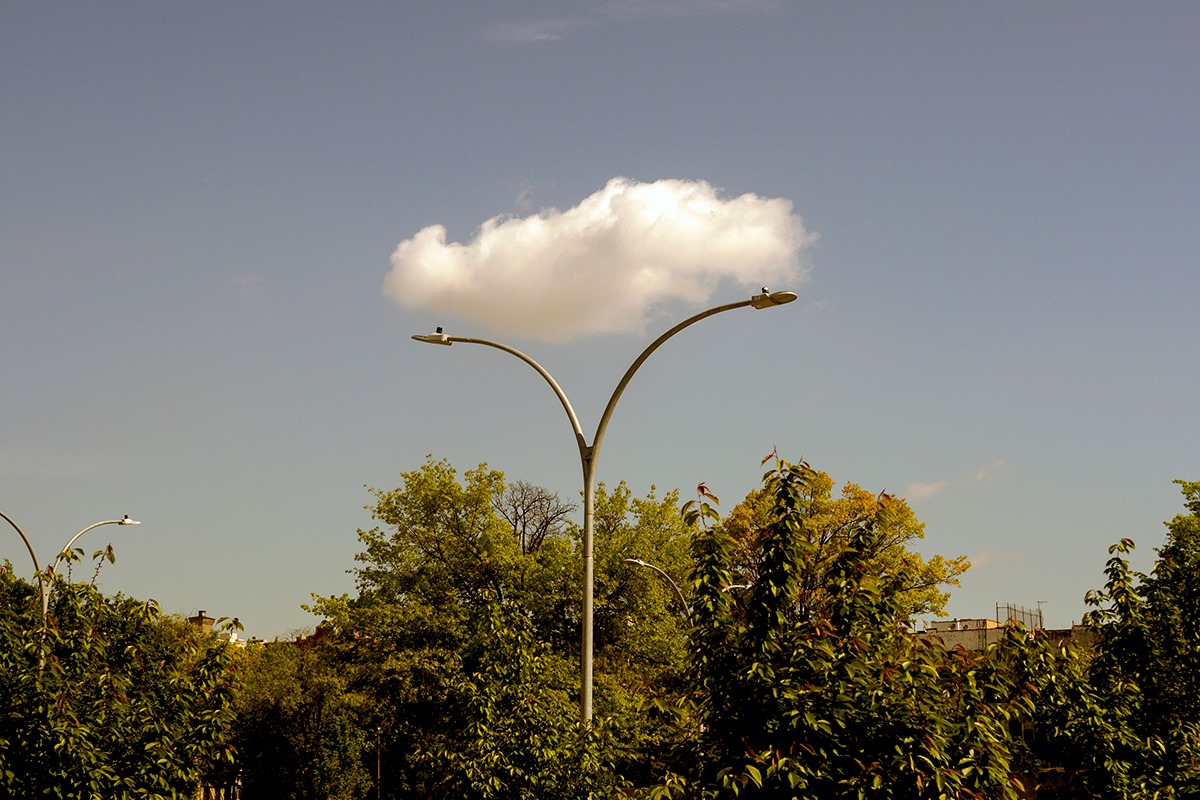 ภาพถ่าย