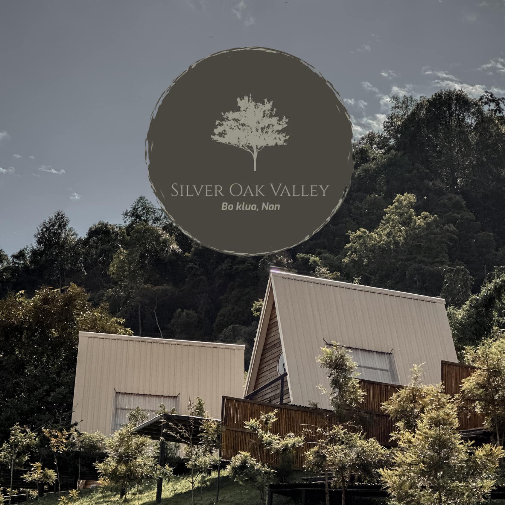 Silver Oak Valley