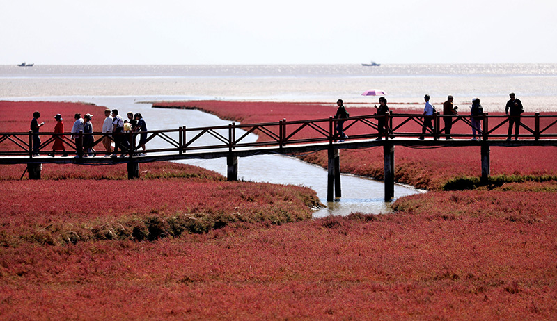 ชายหาดหงไห่ทาน