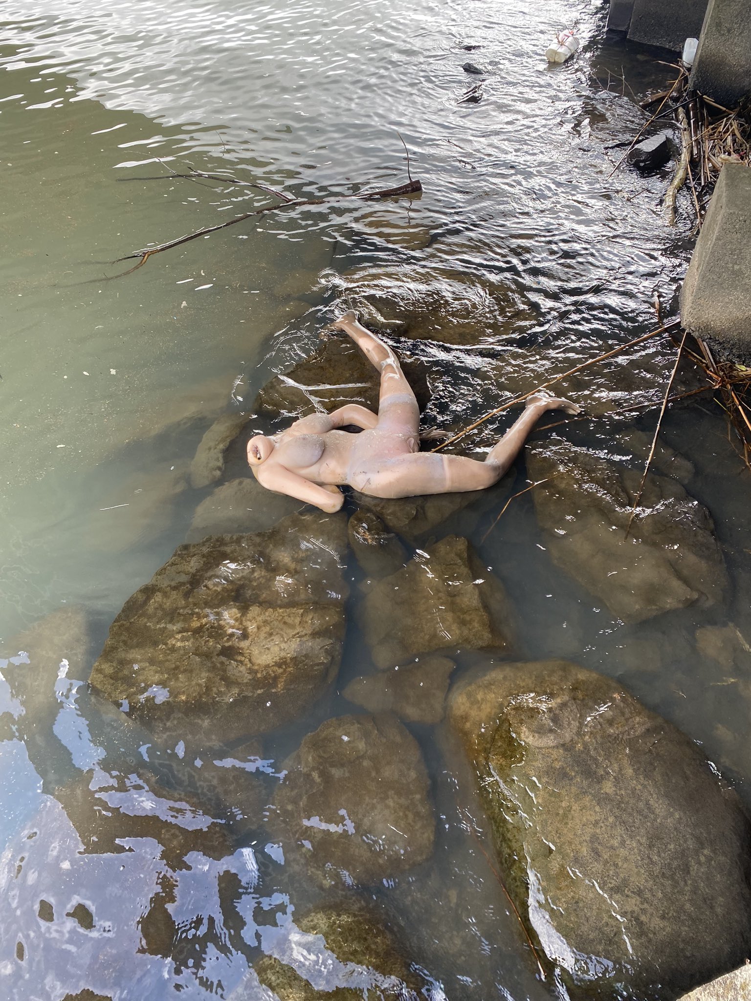 ศพลอยน้ำ