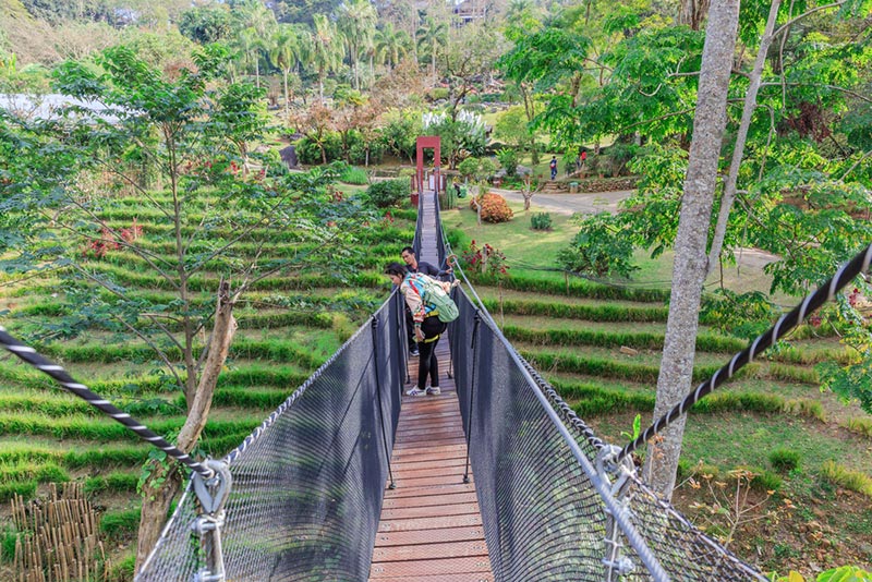 สีสันแห่งดอยตุง