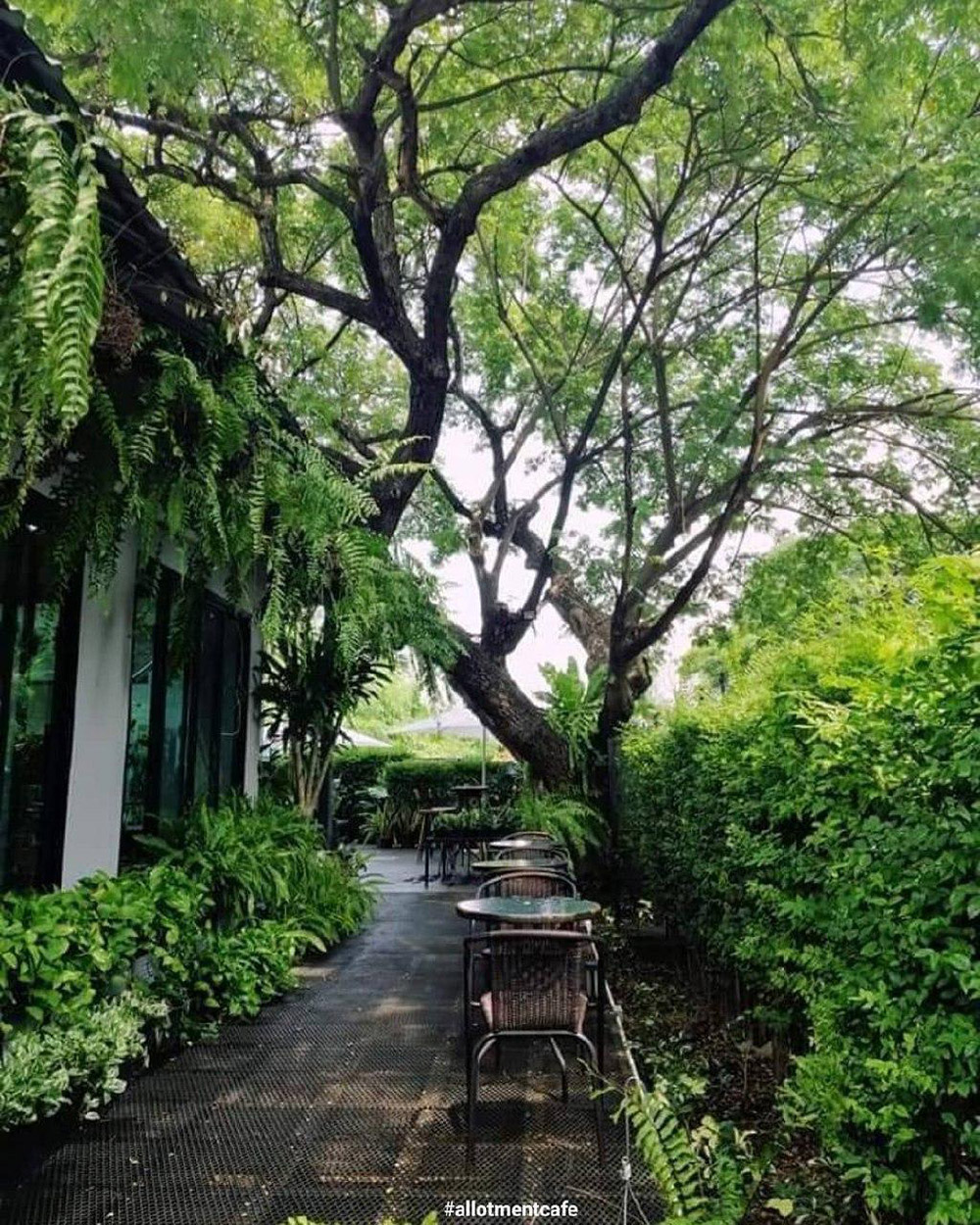 คาเฟ่ลาดพร้าว