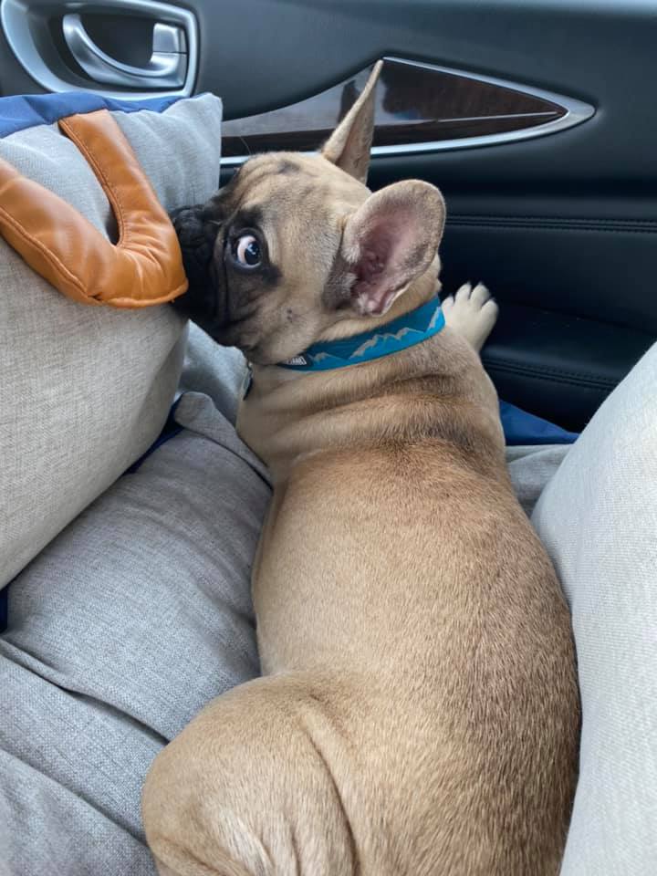 Wilbur