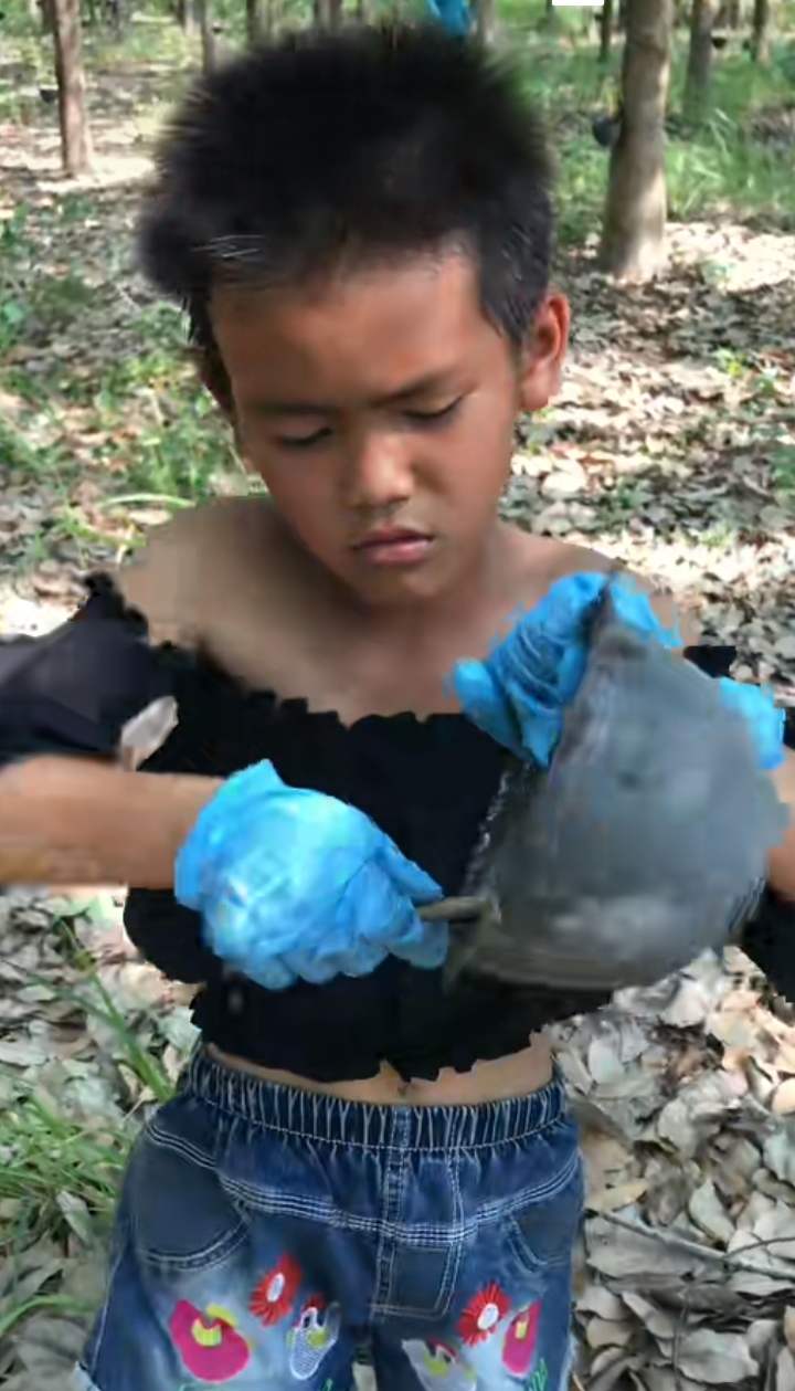 ดูรถแห่