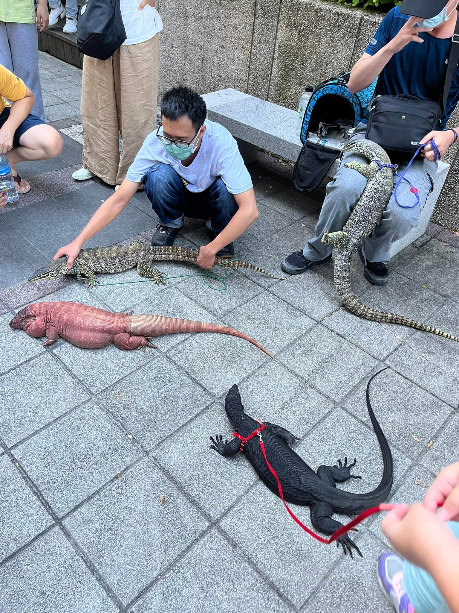 ตัวเงินตัวทอง