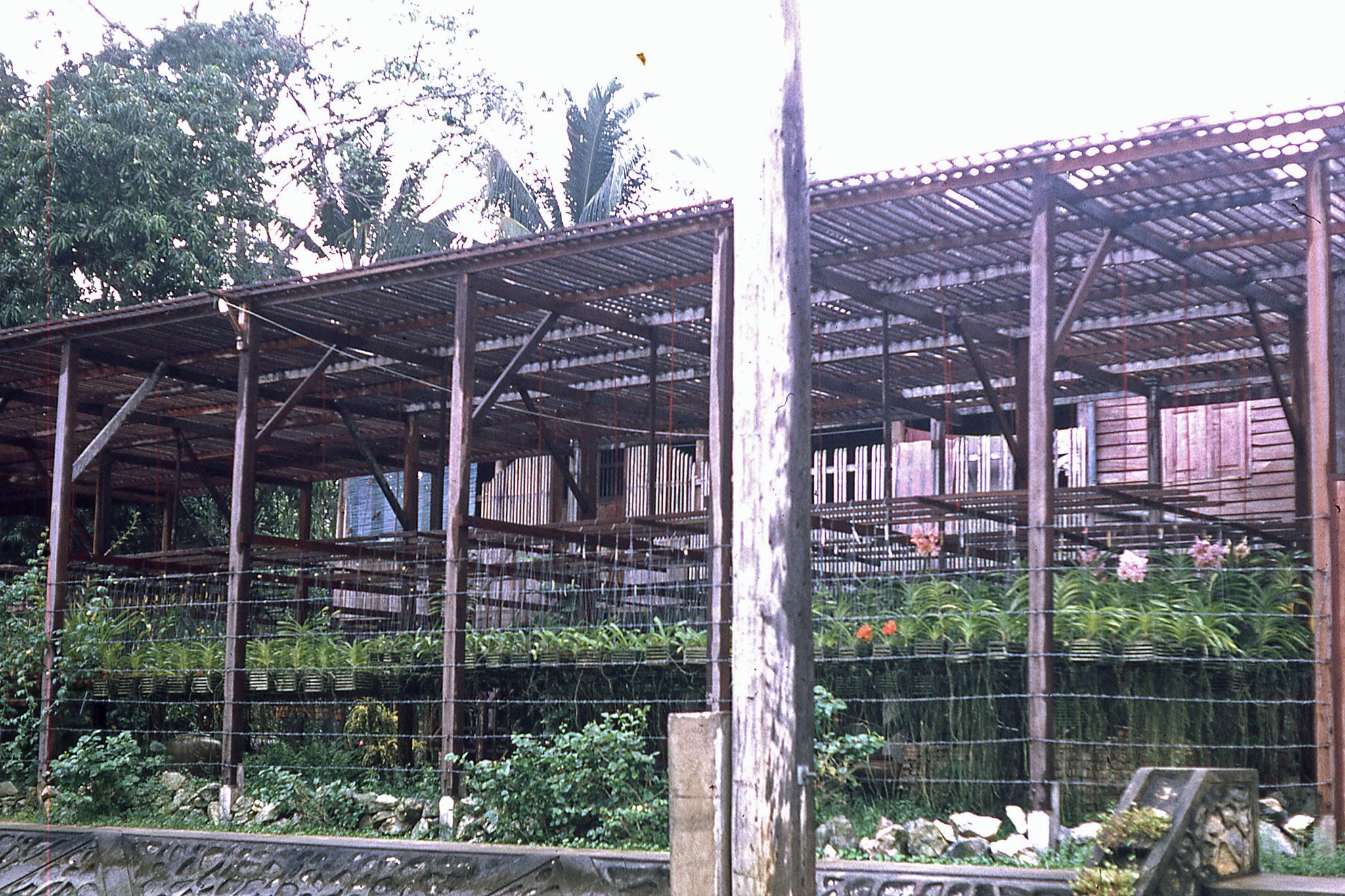 กรุงเทพ