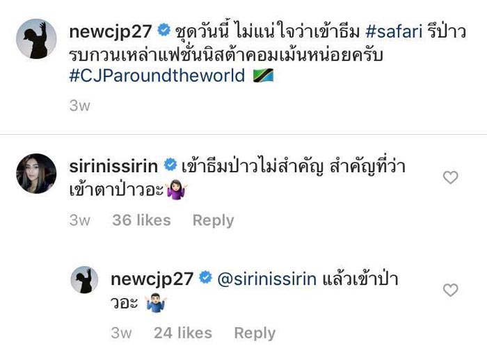 ชิปปี้ นิว