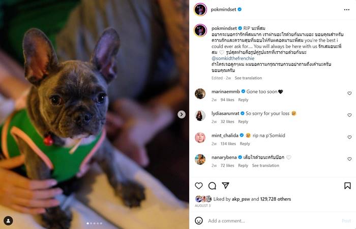 พี่สมคิด หมา