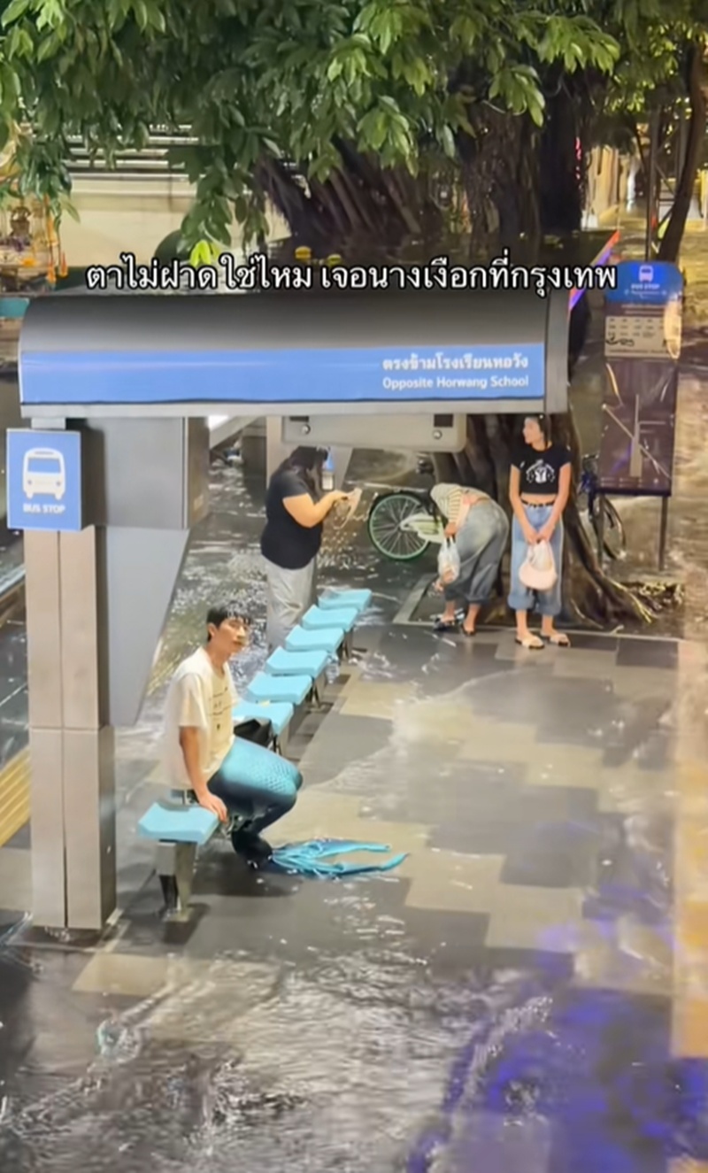 นางเงือก